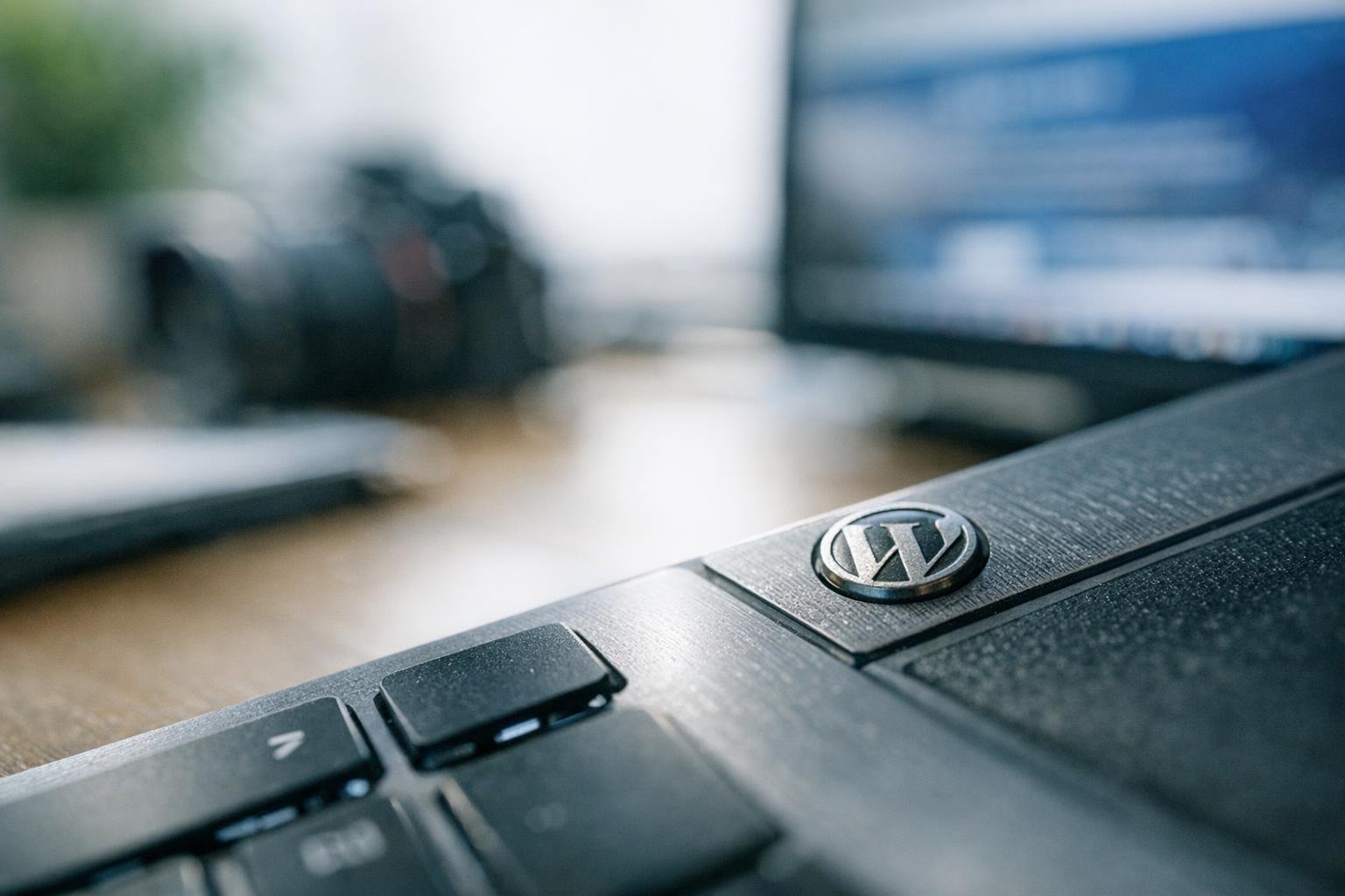 WordPress Theme in WordPress Web Design: WordPress Theme is a collection of files and code that controls the — visual guide