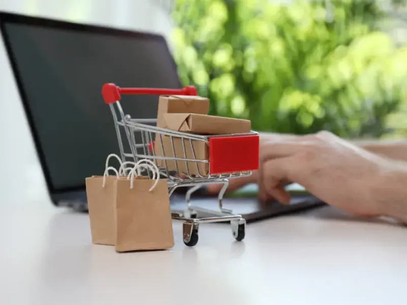 Professional WordPress E-commerce Setup process