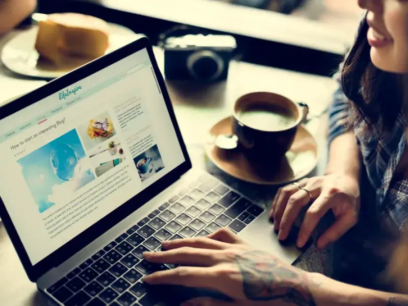 Professional WordPress Plugin Installation process