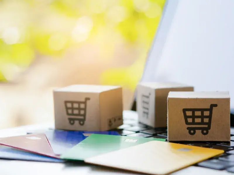 WordPress Payment Gateway service in Perth