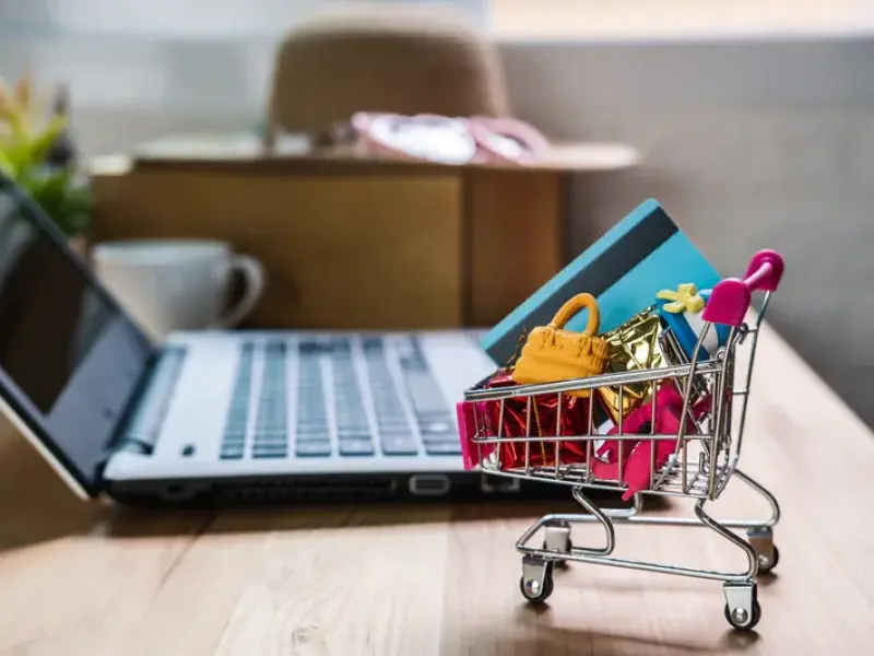 Professional WordPress Payment Gateway process