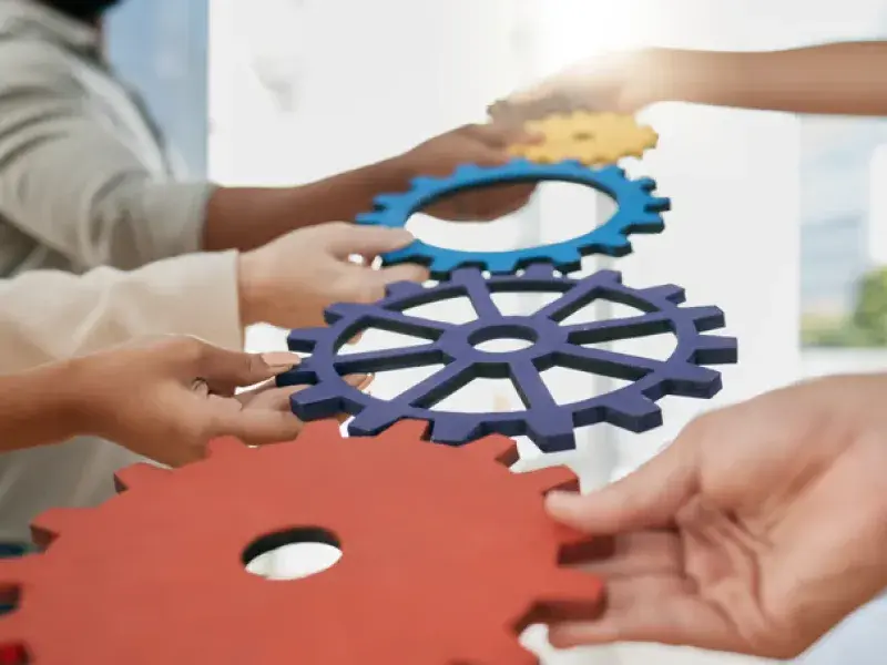 WordPress Site Design in Alexander Heights, WA - WordpressWebdesignPerth.com.au