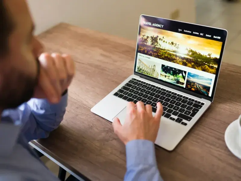 Professional Content Management Systems process