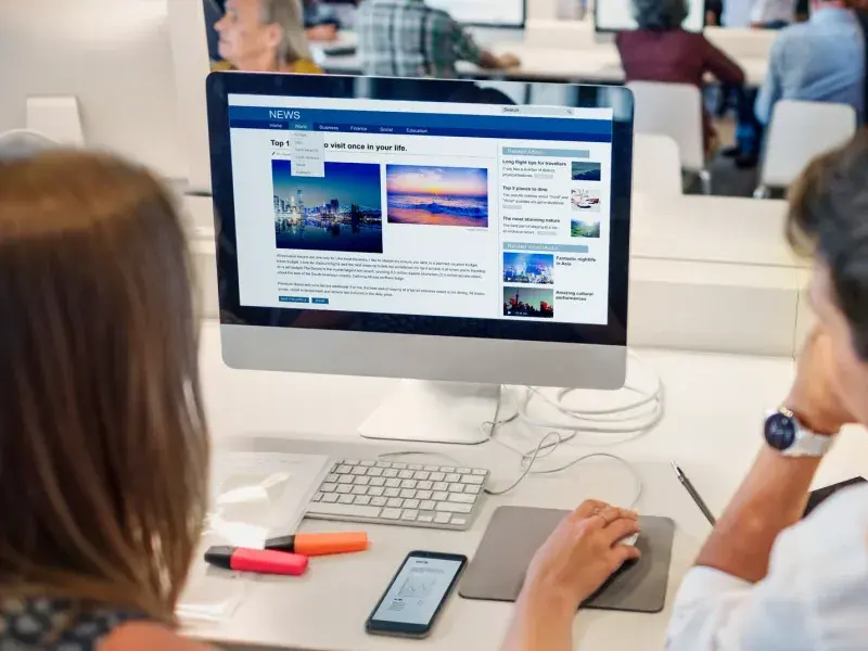 Professional WordPress Migration Services process